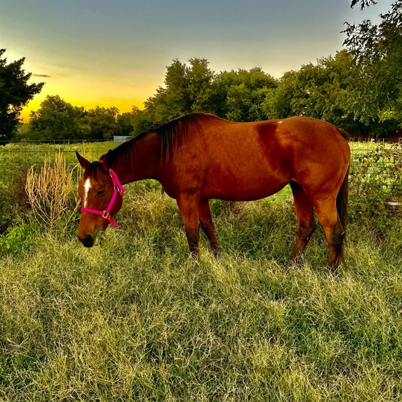 Welcome to my store❤️ - Picture 3 of 3